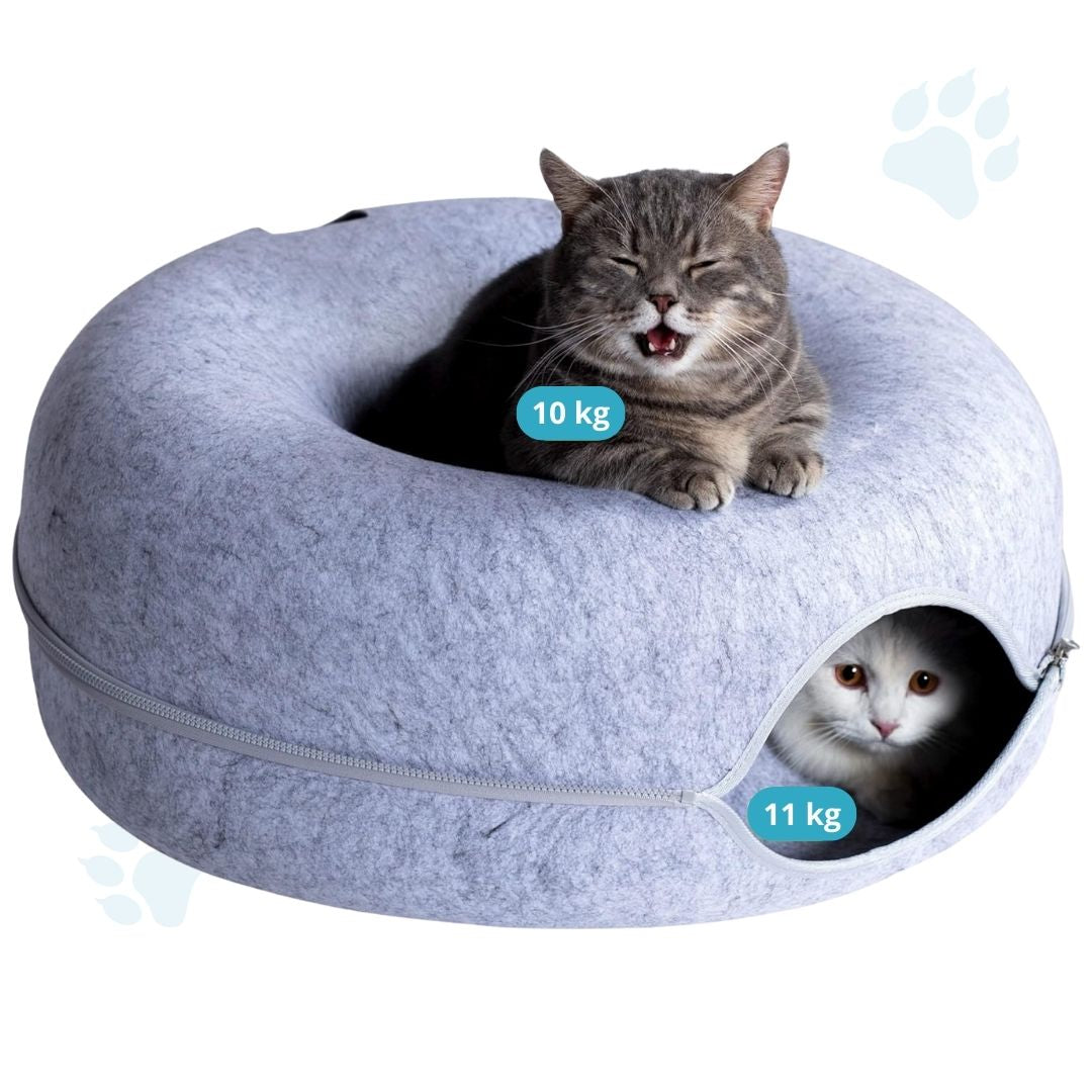 Cozy Loop™ Descanso y Juego Interactivo