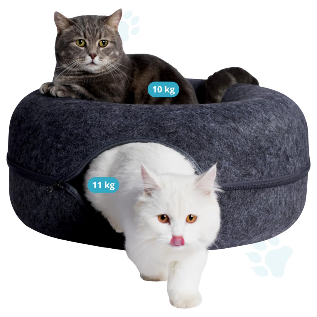 Cozy Loop™ Descanso y Juego Interactivo