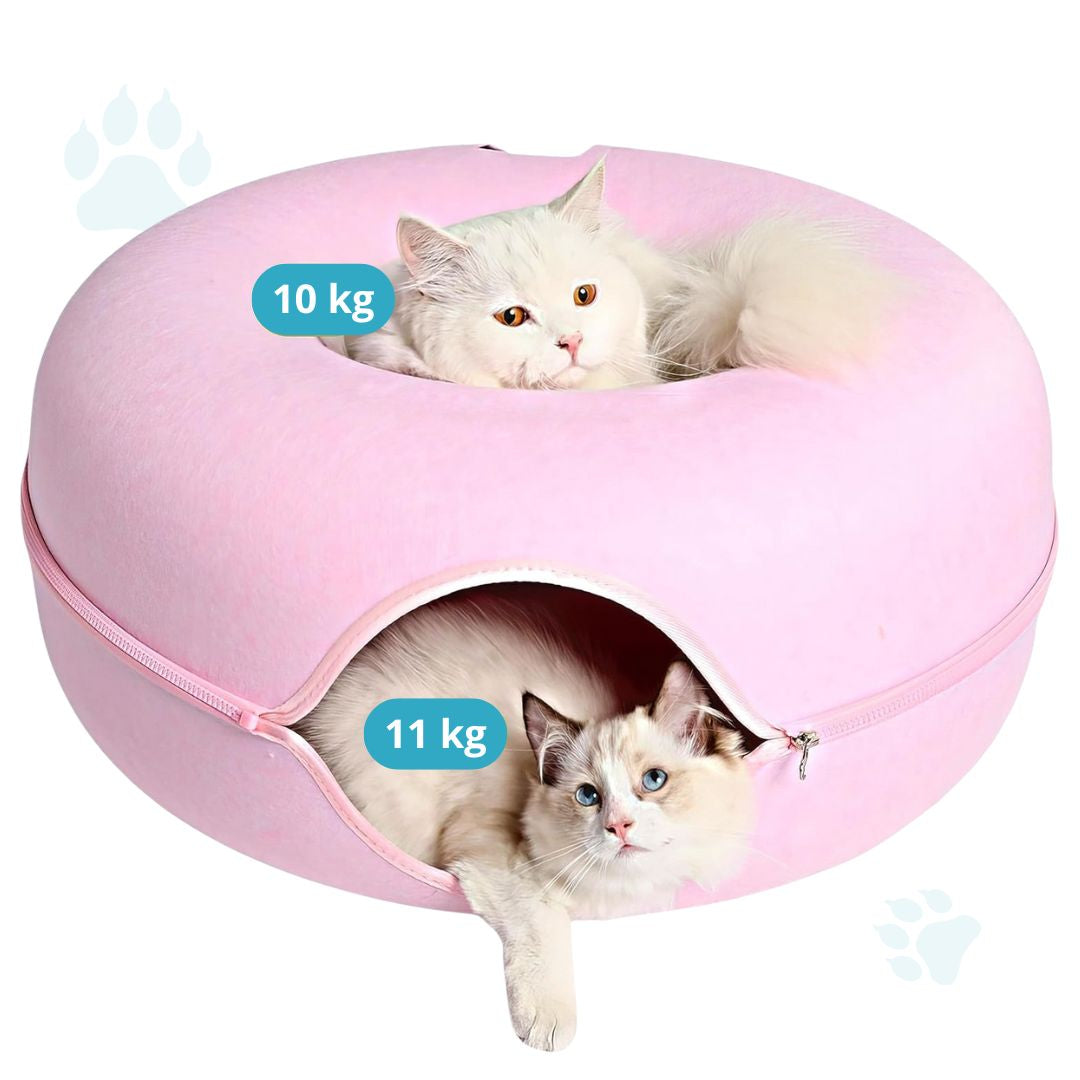 Cozy Loop™ Descanso y Juego Interactivo