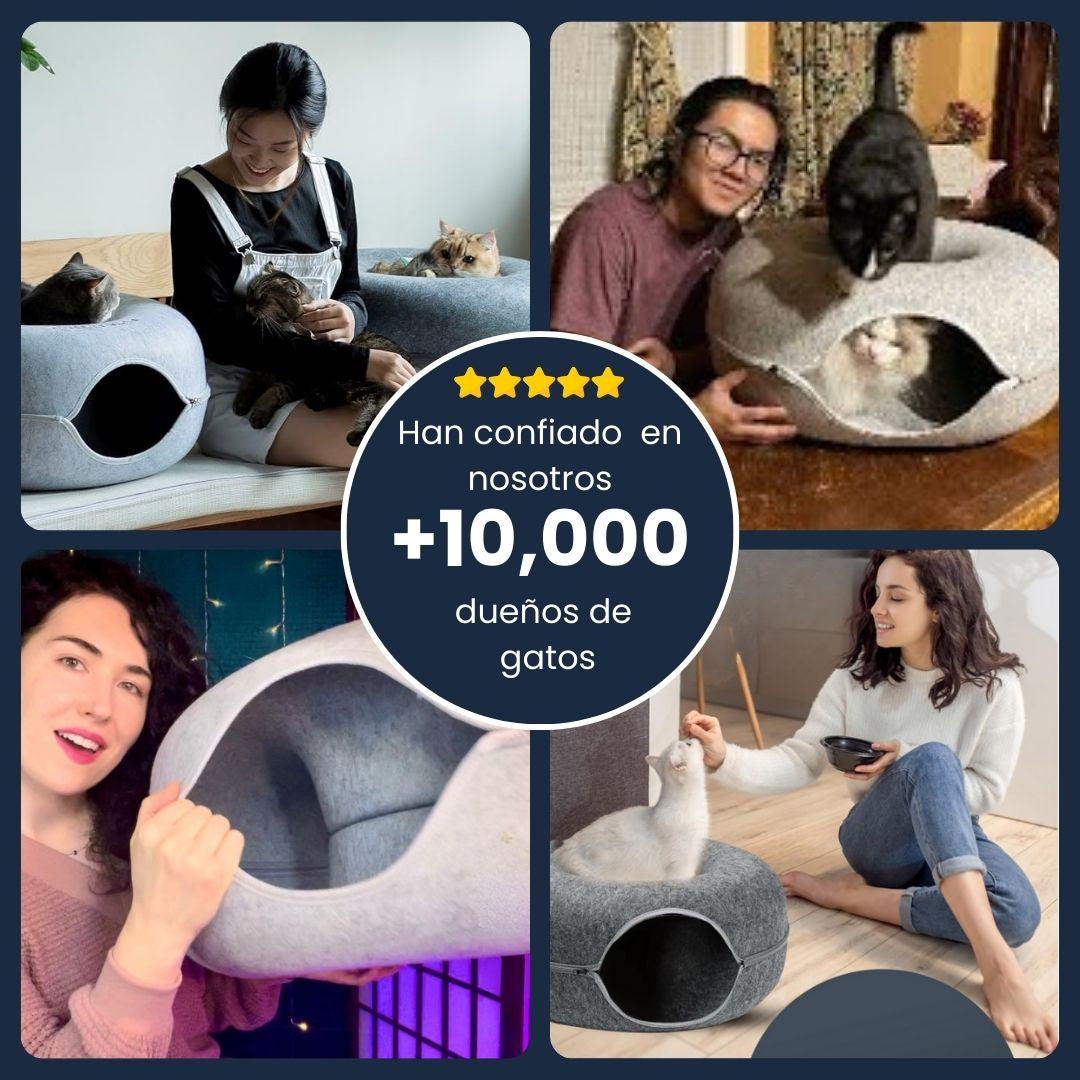 Cozy Loop™ Descanso y Juego Interactivo