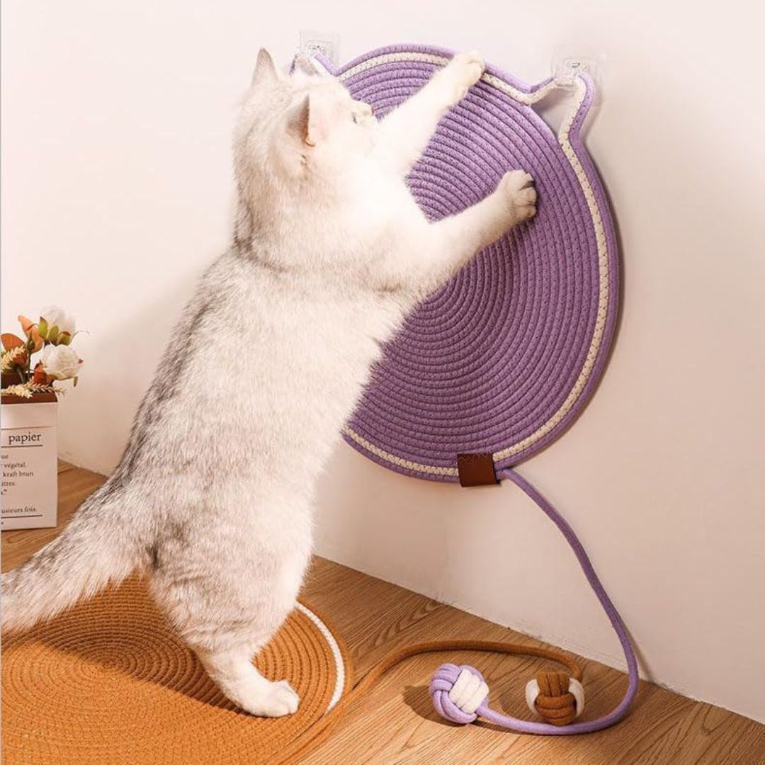 Cat Pad™ – Juega, Rasca y Duerme