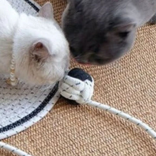 Pelota con Cuerda Integrada